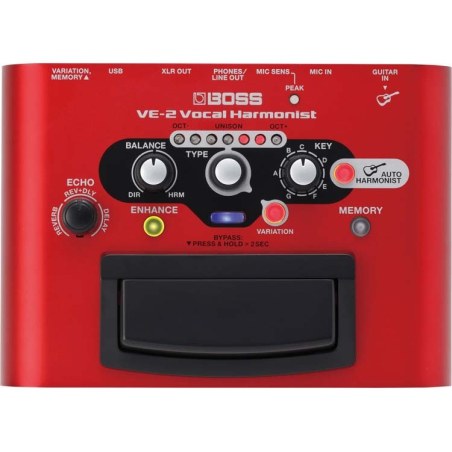 Boss VE1| Vocal echo effect pedaal | Dijkman Muziek