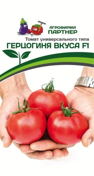 Антюфей Томат Отзывы Фото