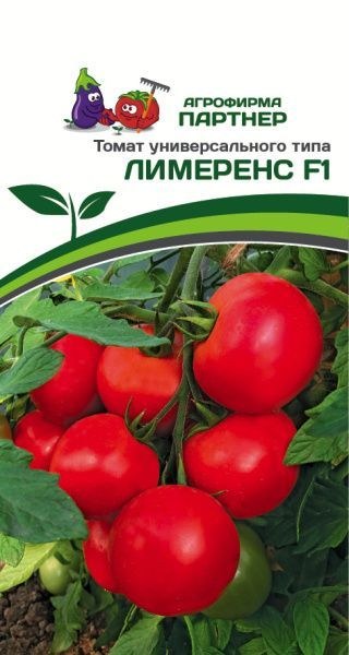 Антюфей Томат Отзывы Фото