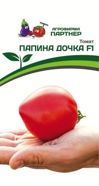 Томат Верочка Характеристика Фото