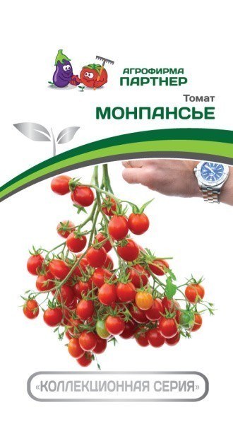 Томат Поцелуй Фото